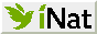 Logo for iNaturalist